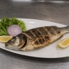 Bar ou daurade