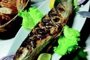Bar ou daurade