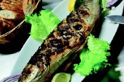 Bar ou daurade